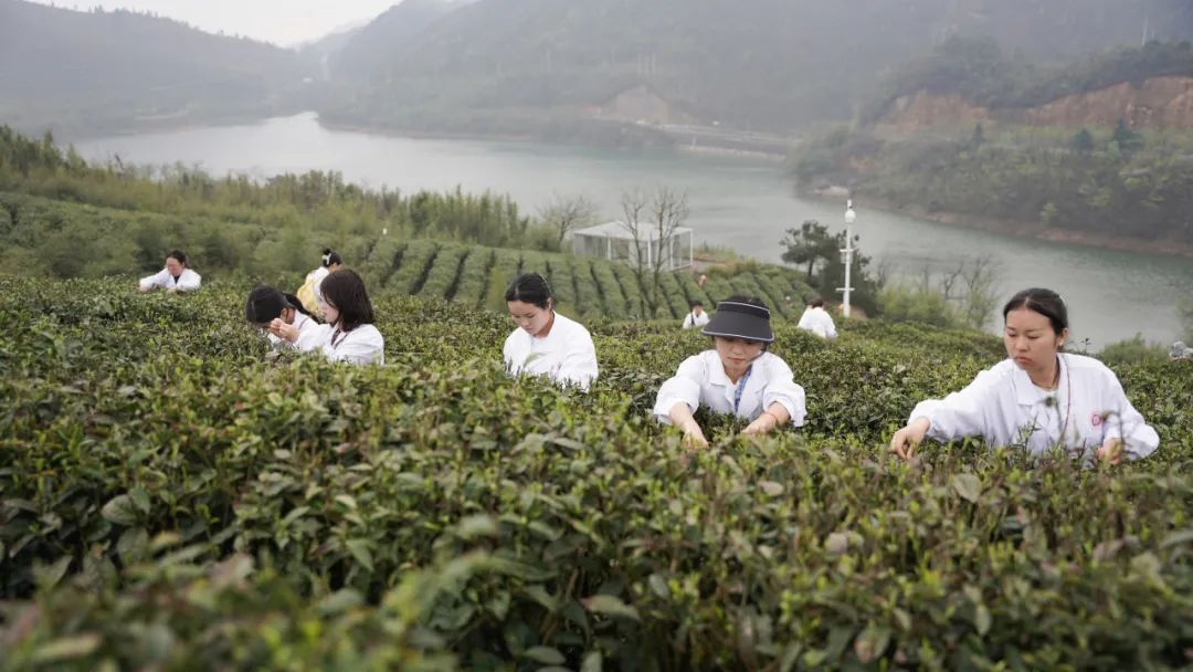Teachers and students of Guizhou Vocational College of Economics and Business immersed themselves in